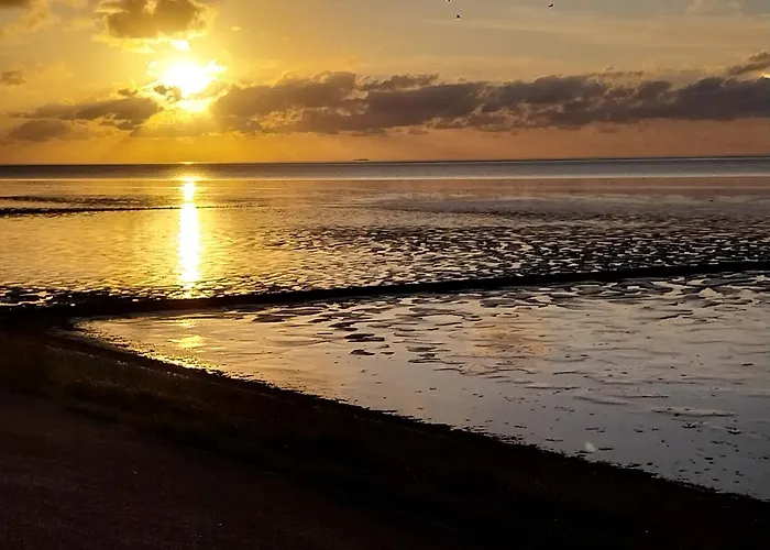 Wad Fijn